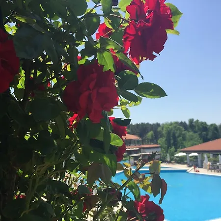 Holiday - Saint Marina